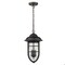 Homeroots 18.5 x 10 x 10 in. Dylan 3-Light Oil-Rubbed Bronze Hanging Lantern 397961 - alternate 1